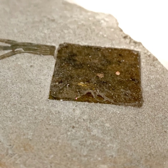 Siku Handcrafted Genuine Soap Stone Eagle Moon Hot Plate Coaster Bird Canada - Picture 5 of 5